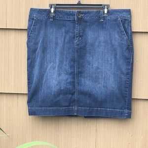 (Plus) Jean Skirt